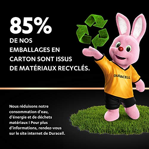 Duracell Plus, lot de 12 piles Type AA