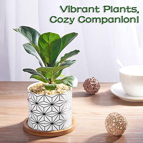 Lewondr 4PCS Pot de Fleur, 2.8 pouce Mini Céramique Succulent Pots Horticoles Jardinière avec Plateau en Bambou pour Petites Plantes Fleurs Cactus Maison Décorations Décor – Géométrie 01, Noir & Blanc