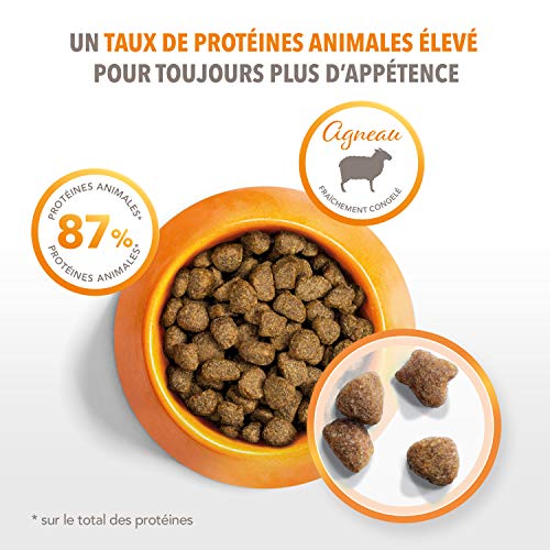 Iams Vitality – Croquettes Premium Chats Adultes 100% Complètes et équilibrées – A l’Agneau – Sans OGM Colorant Arôme…