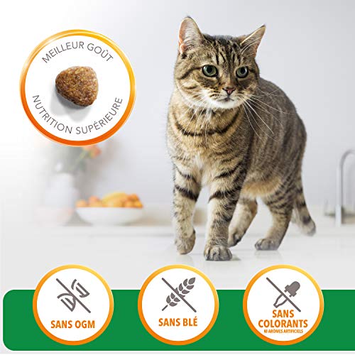 Iams Vitality – Croquettes Premium Chats Adultes 100% Complètes et équilibrées – A l’Agneau – Sans OGM Colorant Arôme…