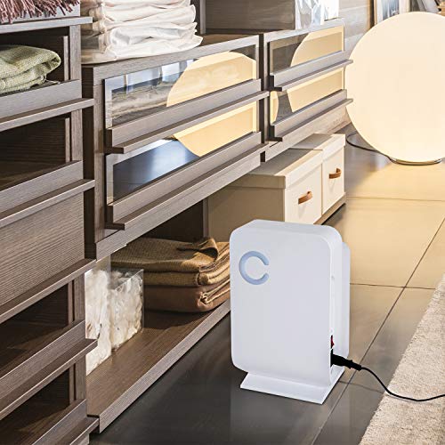 Déshumidificateur portable électrique 1,3 L silencieux évacuation continue 400 mL/24 H idéal pièces 20 m² blanc