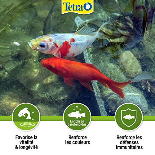 Tetra Pond Sticks – Alimentation Quotidienne idéale pour tous les Poissons de Bassin – Enrichi en Oligo-éléments…
