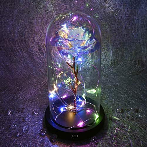 La Belle et la Bête Rose, Cadeaux pour Elle, Cadeaux d’Anniversaire pour Femme, Rose Enchantée dans un Dôme de Verre…