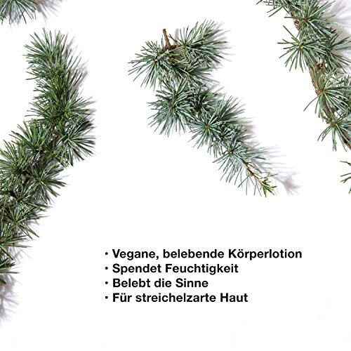 STOP THE WATER WHILE USING ME! All Natural White Sage Cedar Shower Gel (200ml), gel douche vegan dans bouteille…