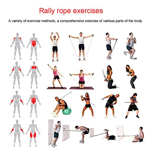 Bandes De Résistance Set 12pcs – 1 Yoga Bande 8 Type,5 Resistance Bands,Poignées,Boucle Cheville,Ancre Porte et Le Sac…