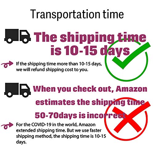 JOELLE JEWELRY Collier Prénom Personnalisé en Argent Sterling 925 Style cursif