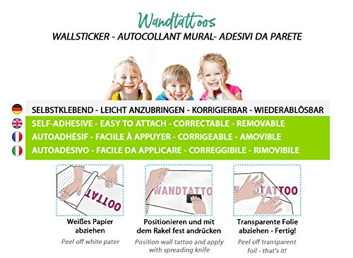 Little Deco Tatouage Mural Paresseux sur Branches & Oiseaux I (LxH) 62 x 40 cm I Nursery Baby Room Stickers muraux…