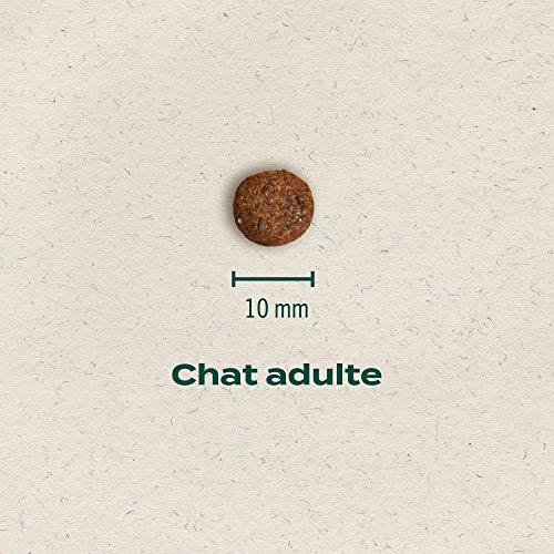 Franklin – Croquettes sans Céréales – Chat Adulte – 60% de Viande – Hypoallergéniques – Digestion Parfaite – Saumon…