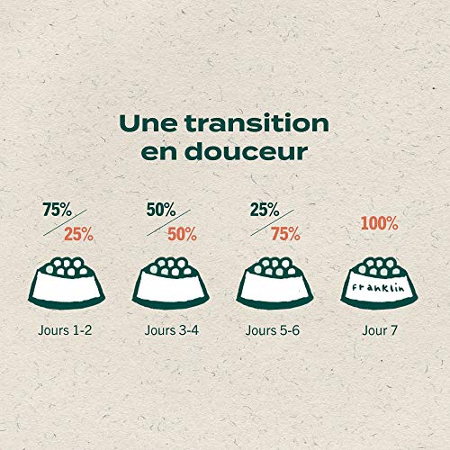 Franklin – Croquettes sans Céréales – Chat Adulte – 60% de Viande – Hypoallergéniques – Digestion Parfaite – Saumon…