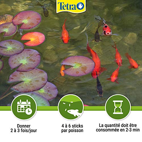 Tetra Pond Sticks – Alimentation Quotidienne idéale pour tous les Poissons de Bassin – Enrichi en Oligo-éléments…