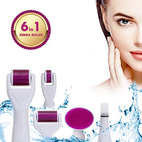 Derma Roller Pour Visage Corps Aiguilles Titane 2° Génération Roller Visage 6 en 1 Kit Sistéme Skin Care Anti Rides Anti…
