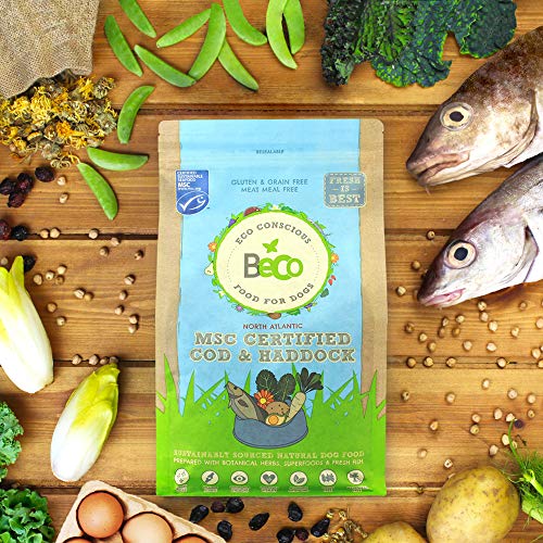 Beco – Nourriture pour Animaux domestiques