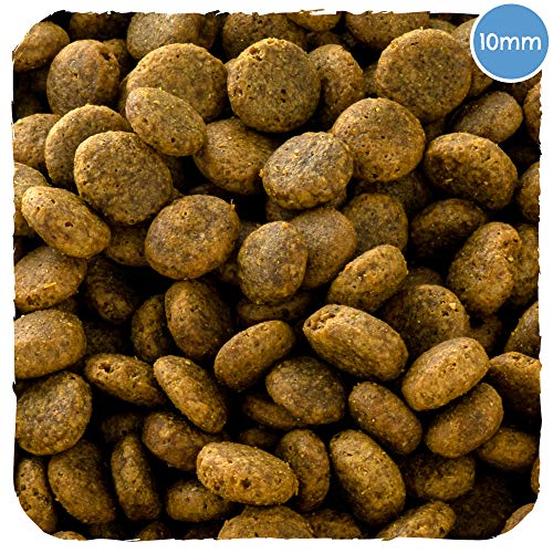Beco – Nourriture pour Animaux domestiques
