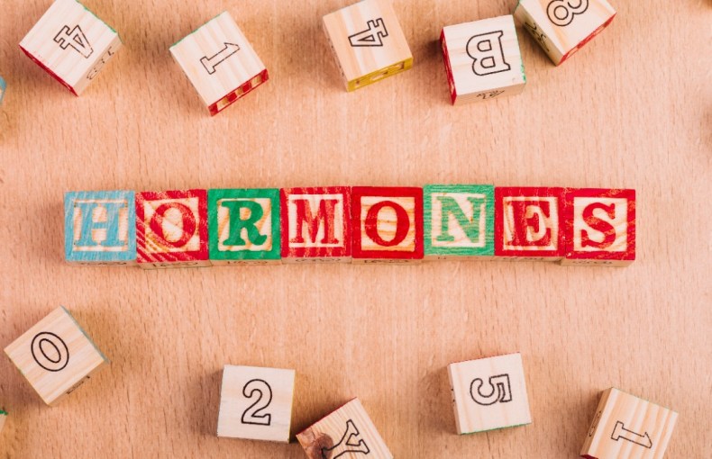 Find out how to Cut back Prolactin Ranges Naturally? Indian Food regimen to Cut back Prolactin Find out how to Cut back Prolactin Ranges Naturally? Indian Food regimen to Cut back Prolactin