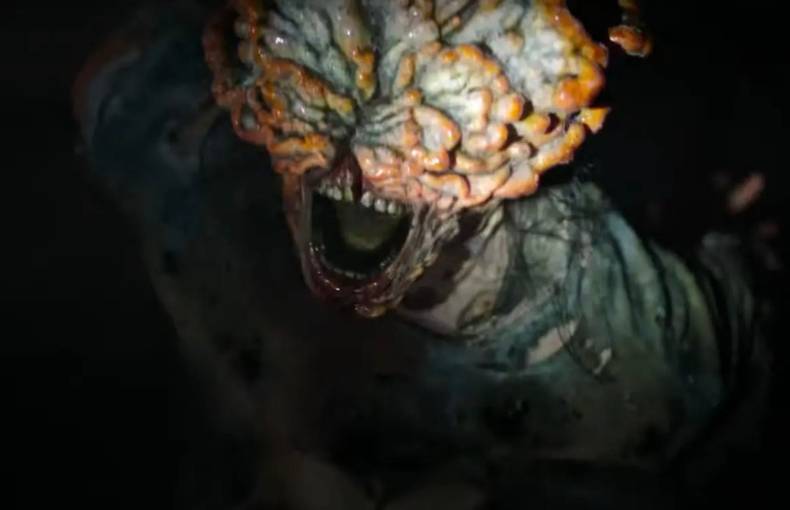 Is ‘The Final of Us’ Cordyceps Fungus Actual and Can It Infect People? Is ‘The Final of Us’ Cordyceps Fungus Actual and Can It Infect People?