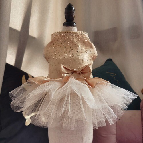 Summer Pet Clothes Wedding Dog Dress for Dogs Skirt Summer Princess Dog Dresses Summer Pet Clothes Wedding Dog Dress for Dogs Skirt Summer Princess Dog Dresses