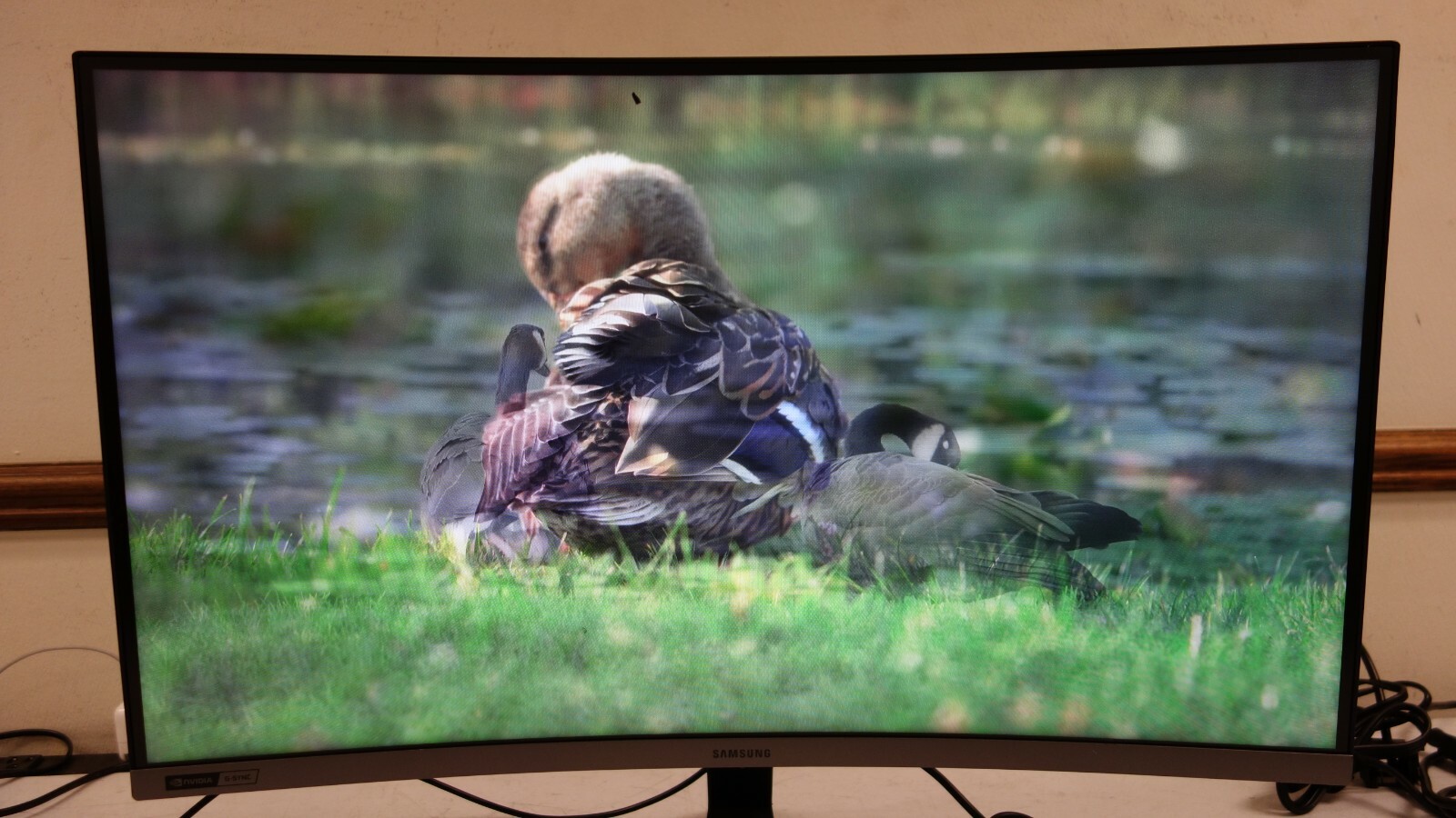 Samsung C27RG50FQN 27″ Full HD Curved Screen LCD Monitor(AR184) Samsung C27RG50FQN 27″ Full HD Curved Screen LCD Monitor(AR184)