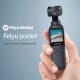 Feiyu Pocket Handheld Gimbal Camera 6Axis with 4KVideo Record Touchscreen N8Z7 Feiyu Pocket Handheld Gimbal Camera 6Axis with 4KVideo Record Touchscreen N8Z7