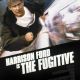 The Fugitive Movie Poster 18” X 28” ID-8 The Fugitive Movie Poster 18” X 28” ID-8