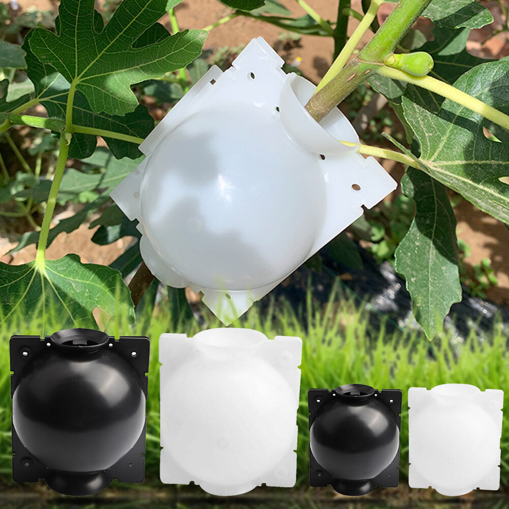 Plant Rooting Ball Grafting Rooting Growing Box Breeding For Garden Set Of 5 DE Plant Rooting Ball Grafting Rooting Growing Box Breeding For Garden Set Of 5 DE