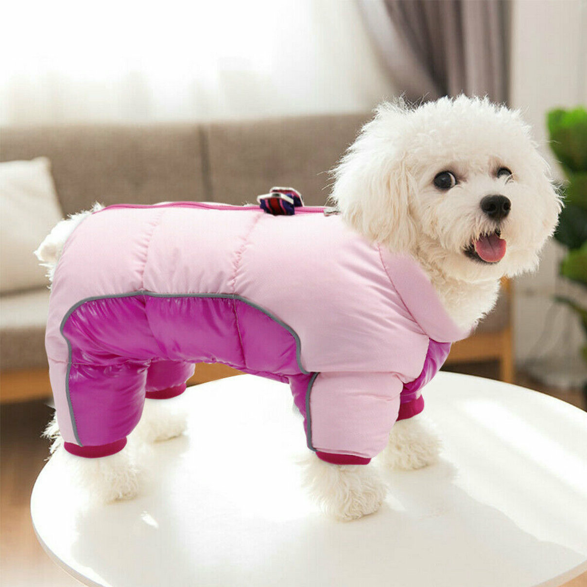 Jumpsuit Dog Coat Cute Fashion Small Pet Cat Clothes Winter Jacket Waterproof