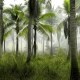 Repro For PALM TREE FOREST JUNGLE LANDSCAPE POSTER ART Fabric Wall Decor Paint Repro For PALM TREE FOREST JUNGLE LANDSCAPE POSTER ART Fabric Wall Decor Paint