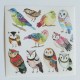 Violette Stickers – OWL & BIRDS – 4×4 Square Sheet K45 Violette Stickers – OWL & BIRDS – 4×4 Square Sheet K45