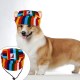 1pc Breathable Pet Dog Baseball Cap Sun Protection Cap for Pet Dog 1pc Breathable Pet Dog Baseball Cap Sun Protection Cap for Pet Dog
