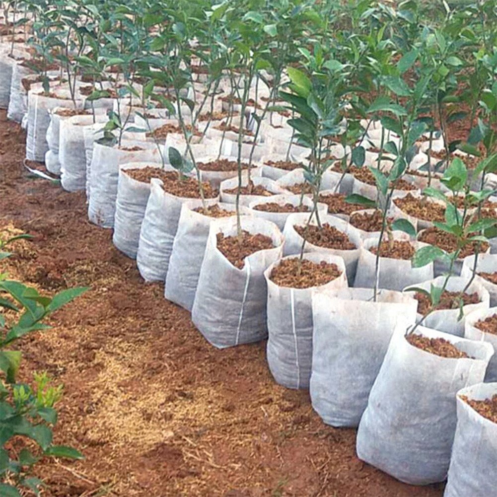Plant Grow Bags Flower Vegetable Garden Planter Bag Aeration Fabric Pot 100Pcs Plant Grow Bags Flower Vegetable Garden Planter Bag Aeration Fabric Pot 100Pcs