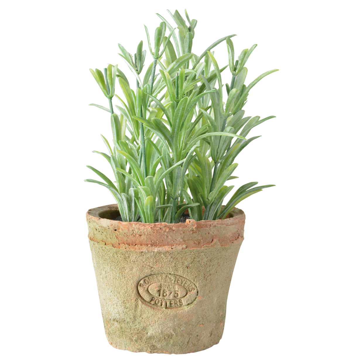 Esschert Garden Terracotta Artificial Rosemary Herb Plant Pot Indoor Outdoor Esschert Garden Terracotta Artificial Rosemary Herb Plant Pot Indoor Outdoor