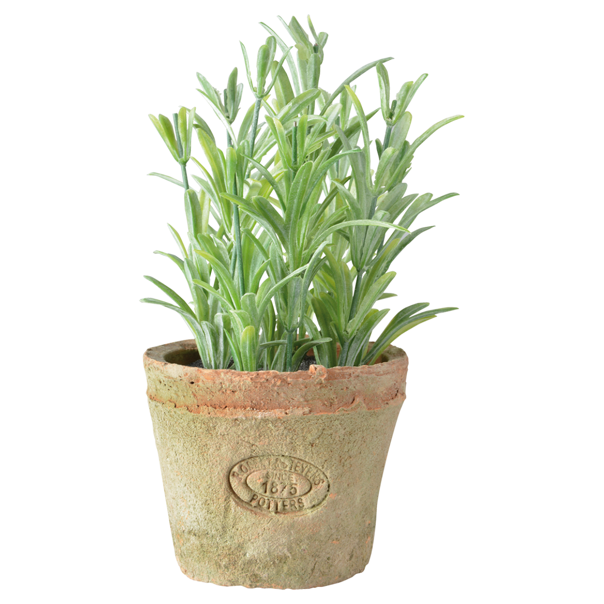 Esschert Garden Terracotta Artificial Rosemary Herb Plant Pot Indoor Outdoor