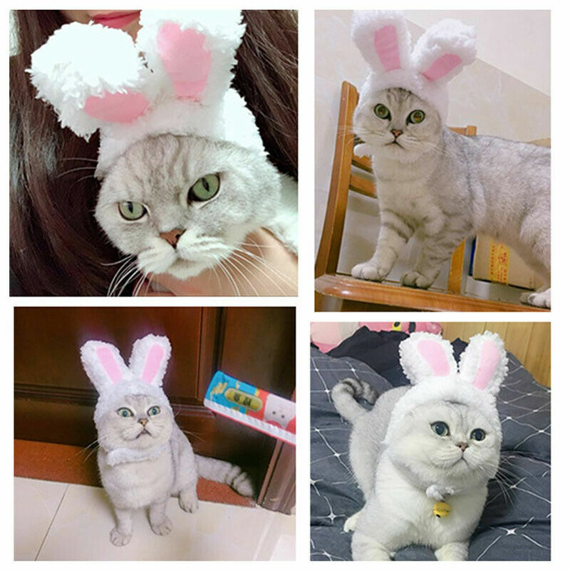Cute Cotton Rabbit Ear Headwear Decor Dog Cat Puppy Hat Birthday Party Supplies Cute Cotton Rabbit Ear Headwear Decor Dog Cat Puppy Hat Birthday Party Supplies