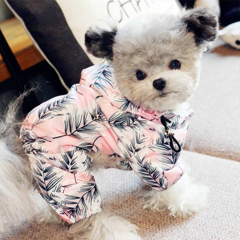 Print Pattern French Bulldog Clothes Comfortable Dog Shirts For Pet Supplies New