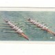 Water Sports. University Boat Race in 1955 Water Sports. University Boat Race in 1955