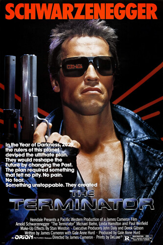 THE TERMINATOR movie poster SCHWARZENEGGER and HAMILTON destruction 24X36 THE TERMINATOR movie poster SCHWARZENEGGER and HAMILTON destruction 24X36