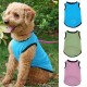 Dog Pet Mesh Vest Good-looking Vest Summer Breathable Casual Style Pet Clothing Dog Pet Mesh Vest Good-looking Vest Summer Breathable Casual Style Pet Clothing