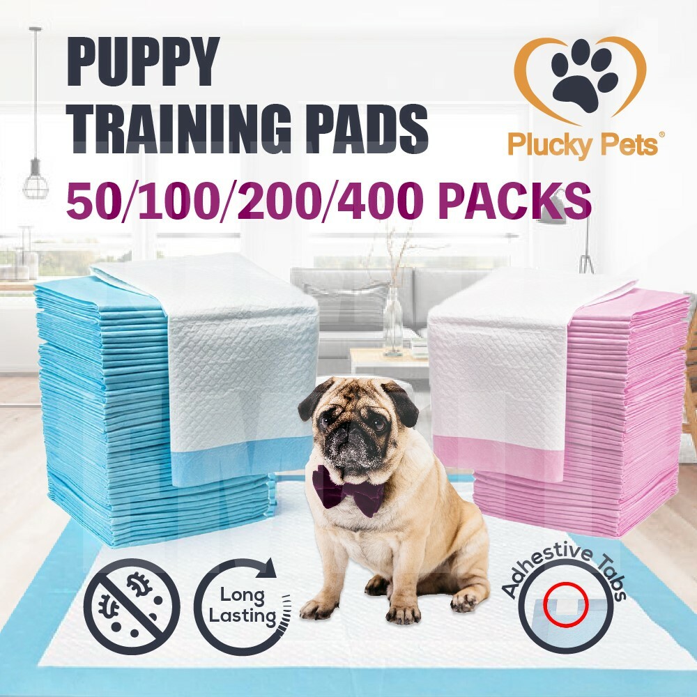 Puppy Pet Dog Indoor Cat Toilet Training Pads Absorbent Thin 60X60cm(BLUE/PINK) Puppy Pet Dog Indoor Cat Toilet Training Pads Absorbent Thin 60X60cm(BLUE/PINK)