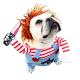 Funny Cute Pet Dog Costume Dog Clothes Cavalier Cosplay 2021 Coat UK UP D0A7 Funny Cute Pet Dog Costume Dog Clothes Cavalier Cosplay 2021 Coat UK UP D0A7