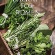 Herbal Therapy for Women by Brooke, Elisabeth -Paperback Herbal Therapy for Women by Brooke, Elisabeth -Paperback