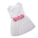 Summer Lace Flower Dog Clothing Pet Dog Skirt Costume Pet Supplies – Size XS (Wh Summer Lace Flower Dog Clothing Pet Dog Skirt Costume Pet Supplies – Size XS (Wh