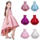 Flower Girl Princess Dress Kids Birthday Party Wedding Pageant Tutu Dresses Gown Flower Girl Princess Dress Kids Birthday Party Wedding Pageant Tutu Dresses Gown