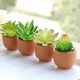 Artificial Succulents Plants Fake Bonsai Cactus Home Garden Wedding Decoration Artificial Succulents Plants Fake Bonsai Cactus Home Garden Wedding Decoration