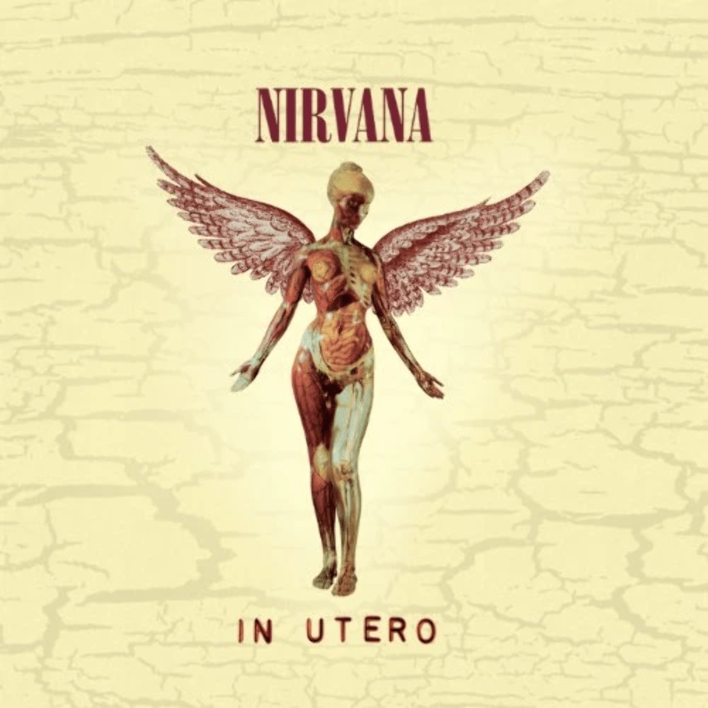 Nirvana – In Utero (180g w. download voucher) – Vinyl – New Nirvana – In Utero (180g w. download voucher) – Vinyl – New