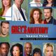 Greys Anatomy Movie Poster 18” X 28” ID-8-5 Greys Anatomy Movie Poster 18” X 28” ID-8-5