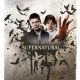 Supernatural Movie Poster 18” X 28” ID-8-2 Supernatural Movie Poster 18” X 28” ID-8-2