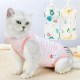 Pet Cat Postoperative Recovery Suit Sterilization Weaning Soft Beathable Clothes Pet Cat Postoperative Recovery Suit Sterilization Weaning Soft Beathable Clothes