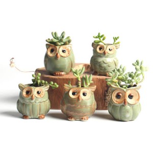 5x Mini Ceramic Plant Pot Owl Succulent Flower Planter Bonsai Box Garden Home 5x Mini Ceramic Plant Pot Owl Succulent Flower Planter Bonsai Box Garden Home