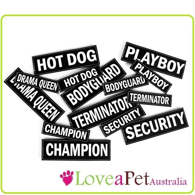Large Side Patch Labels for EzyDog Convert Harness – Personalise and Accessorise Large Side Patch Labels for EzyDog Convert Harness – Personalise and Accessorise