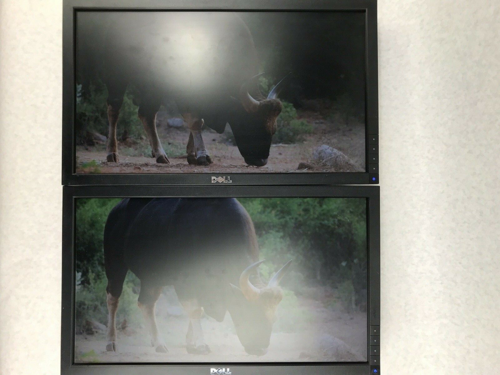 Lot of 2 Dell 20″ E2010HT LCD Monitor Grade C Lot of 2 Dell 20″ E2010HT LCD Monitor Grade C