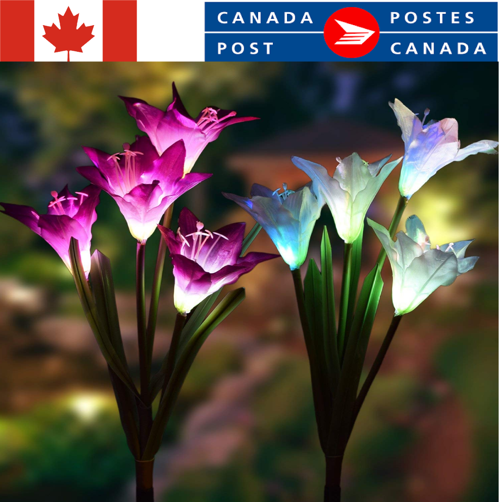 Outdoor Solar Garden Lights, 2 Pack Solar Powered Lights with Lily Flower Lights Outdoor Solar Garden Lights, 2 Pack Solar Powered Lights with Lily Flower Lights